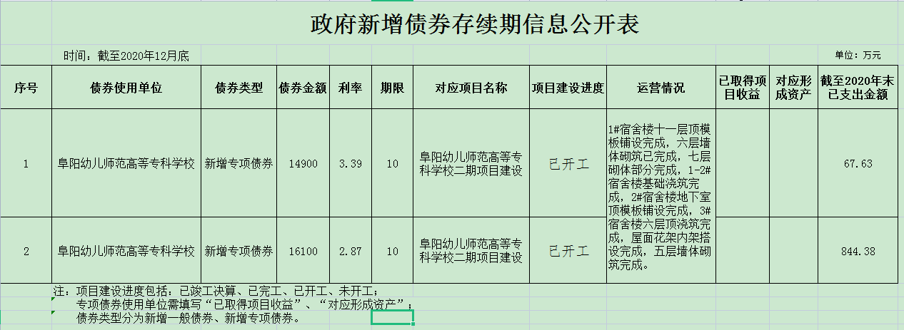 政府新增债券存续期信息公开表.png